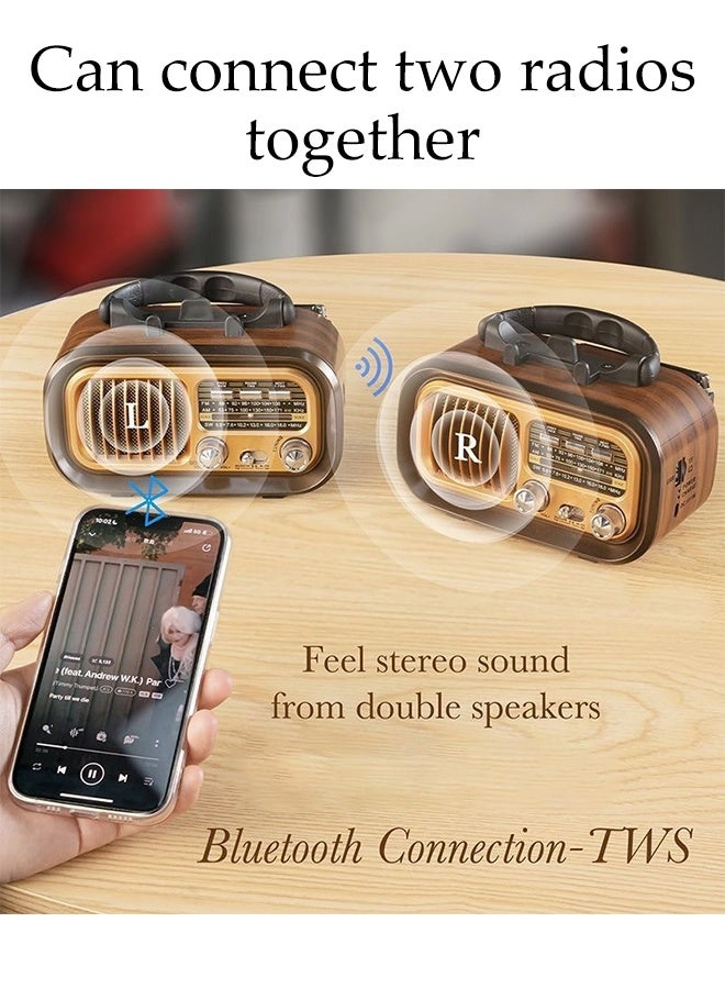 Radio Speaker - Portable