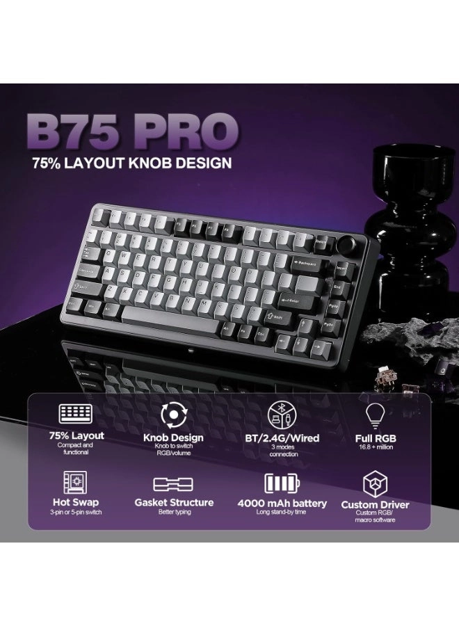 B75 PRO - 75% Wired/Wireless