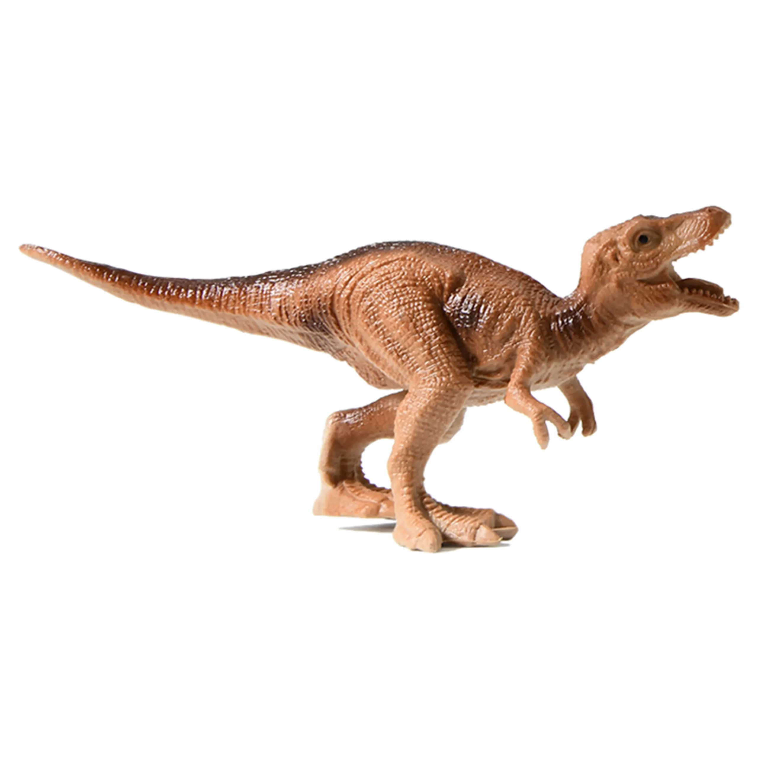 Dinosaur Collectibles - 3 years 6pcs
