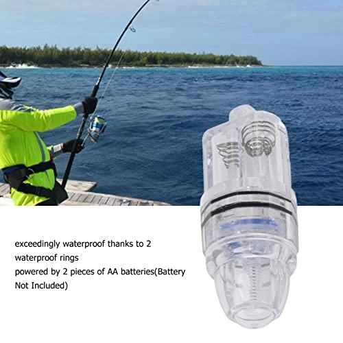 Underwater Fish Light