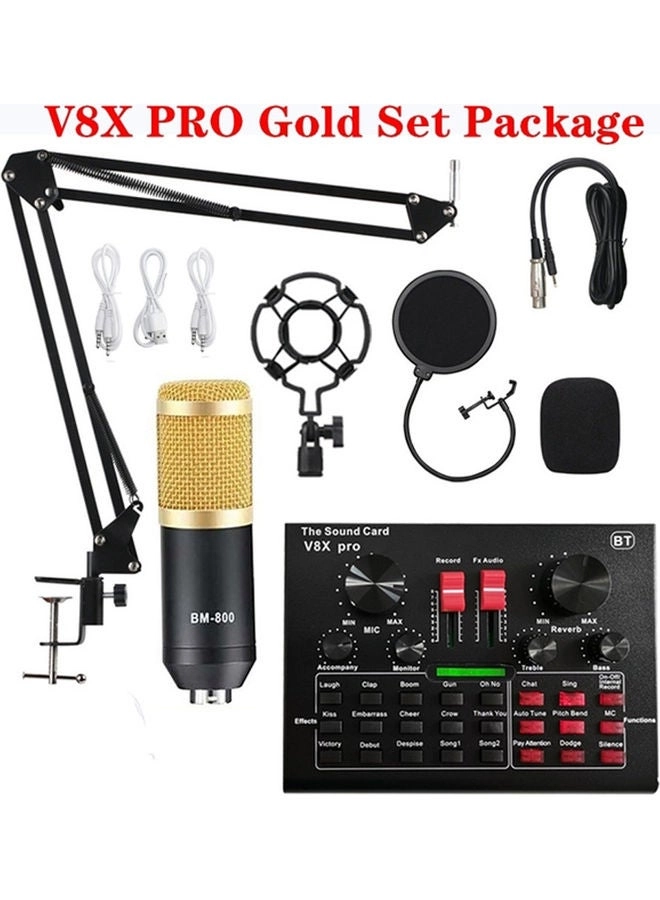 BM-800 + Live Sound Card Wired Microphone