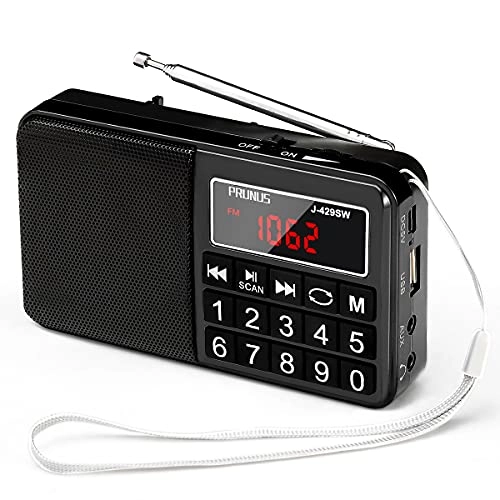 429 - Pocket Radio