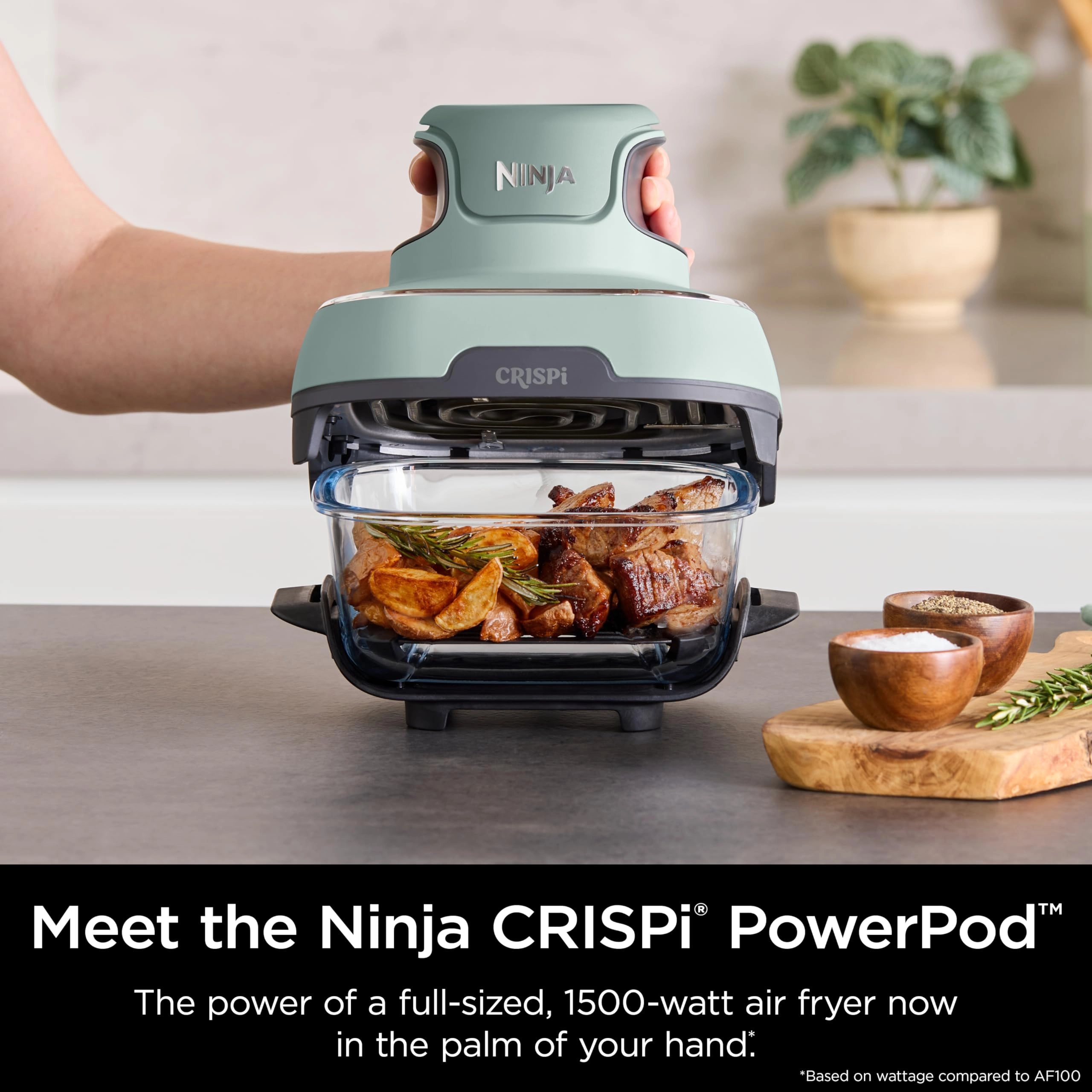 CRISPi FN101MEGY