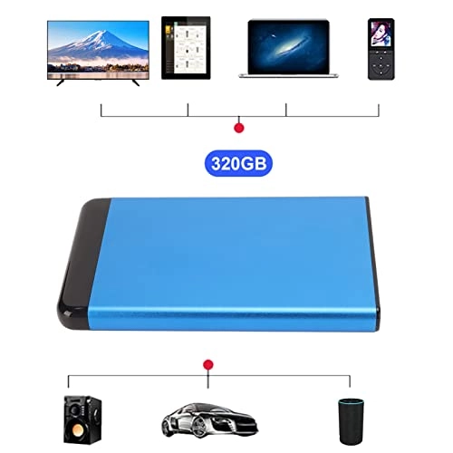 External Hard Drive - 320GB 2.5in