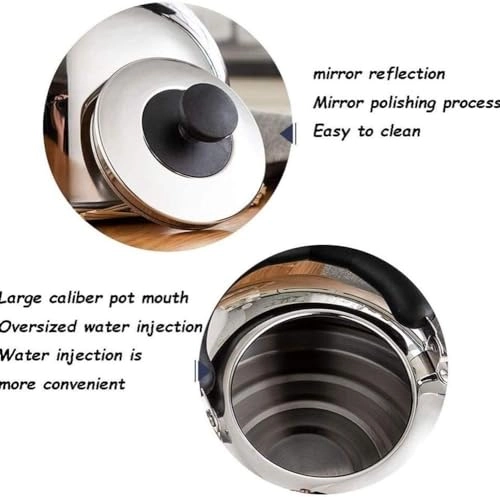 Stovetop Induction Whistling Kettle - 5L