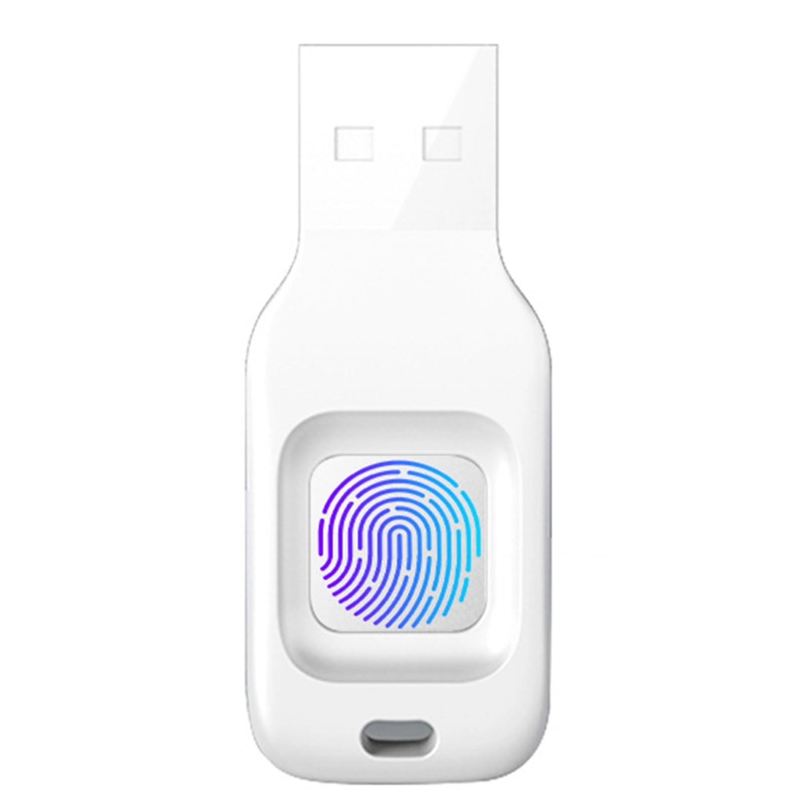 BankiE Fingerprint USB flash drive - USB 2.0 256 GB