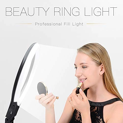 LED ring light - 3300-6000K Silver dimmable