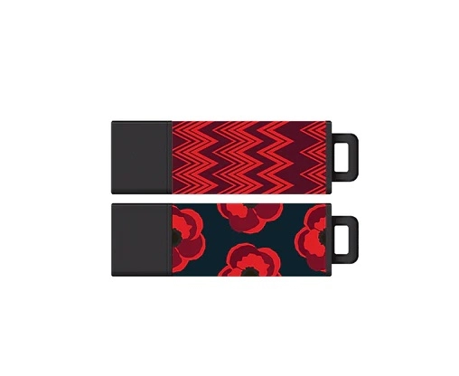 DataStick Pro - USB 2.0 2GB