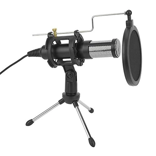 TAEKHW USB Microphone Kit