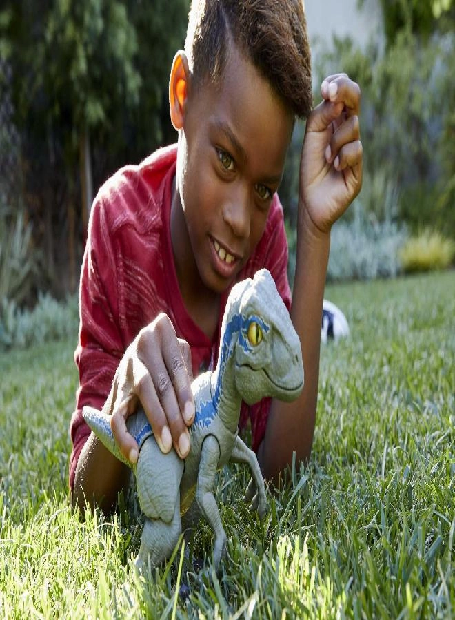 Primal Pal Blue - 4yr(s)