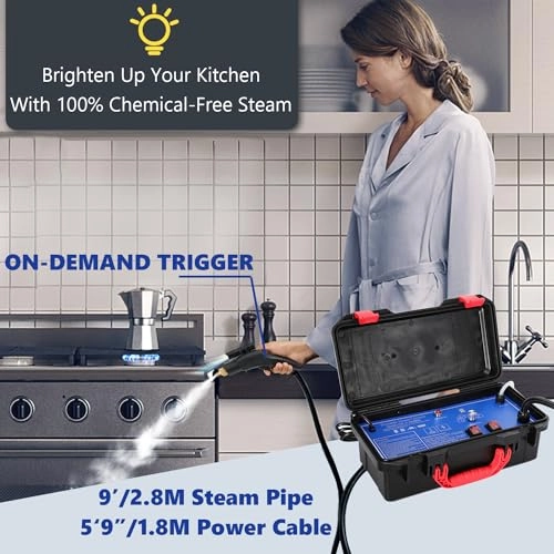 Handheld Steam Cleaner - 1700W 220V Tankless