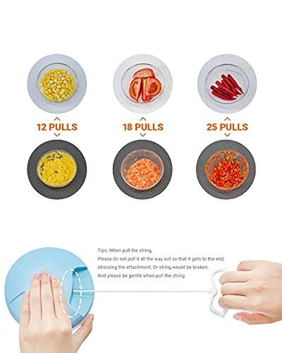 Manual Garlic Grinder Chopper - 250 Milliliters