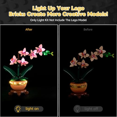 LED Lighting Set - for 10343 Mini Orchid Continuous Light Kit 5 V
