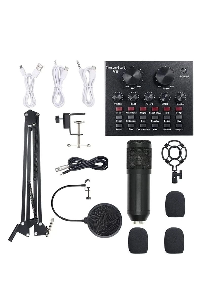 LEDIN V8 Set - USB External Karaoke Recording