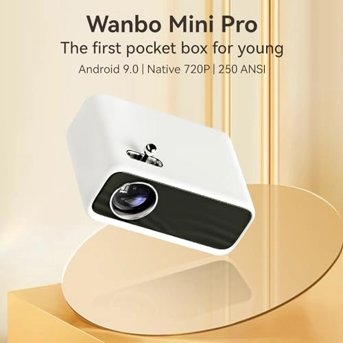 Mini Pro 300 ANSI lumens