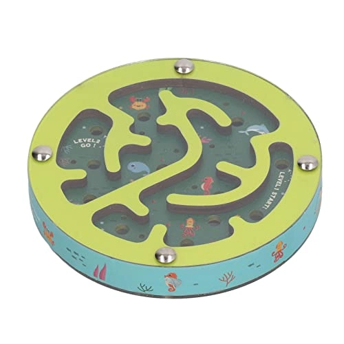 Balance Maze Wooden Puzzle