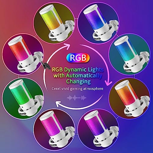 WS806 USB+3.5mm-Mini-Jack Microphone