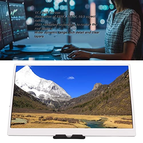 Type C External Monitor - FHD 1080p 17.3 Inches