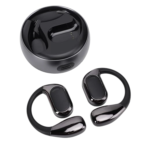 Translation Earphones - 74 Languages