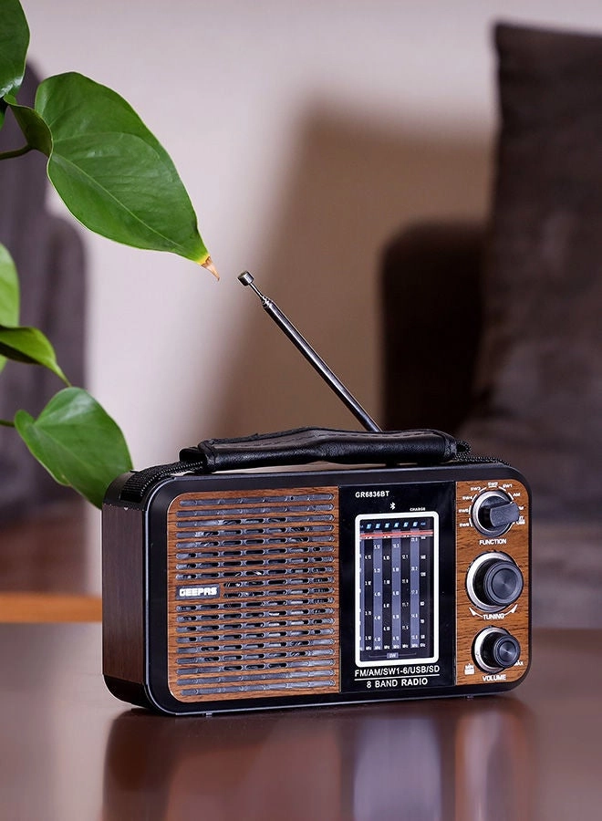 GR6836BT - FM Radio