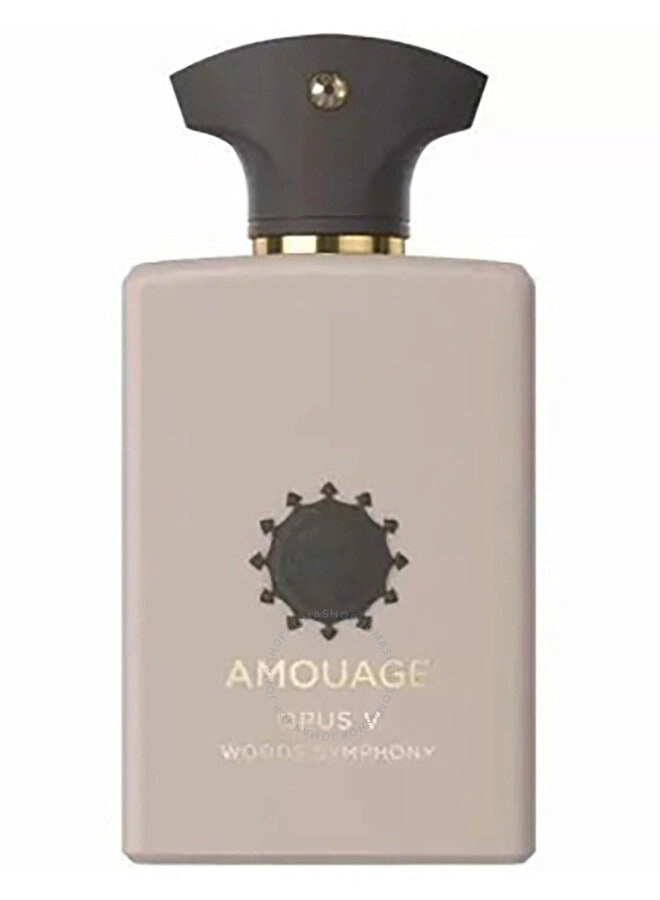 Woods Symphony Eau de Parfum 100 ml