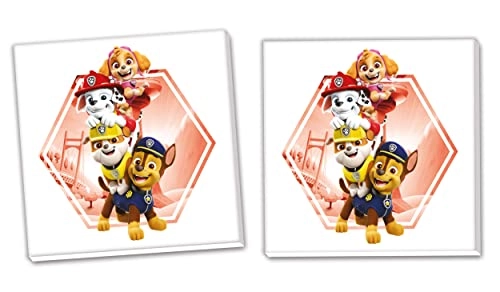 Memo Paw Patrol - 0 - 6 years