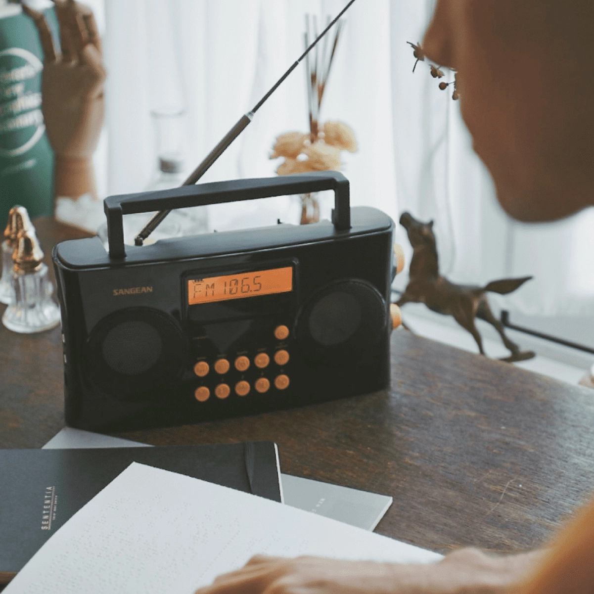 PR-D17 - Portable Radio