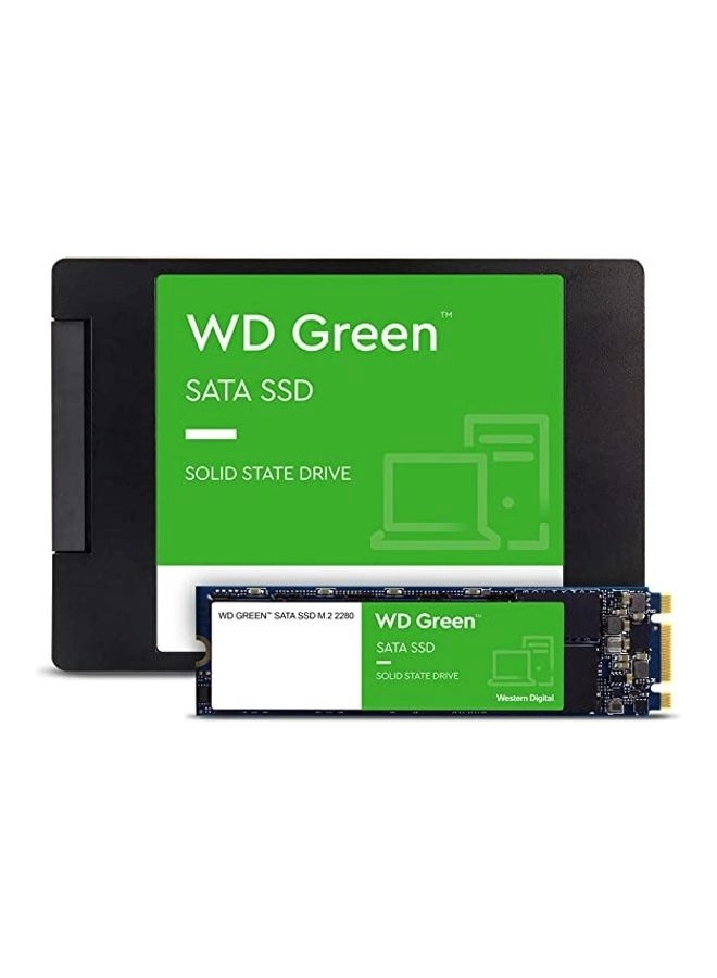 WDS100T3G0A - 1 TB 2.5/7mm
