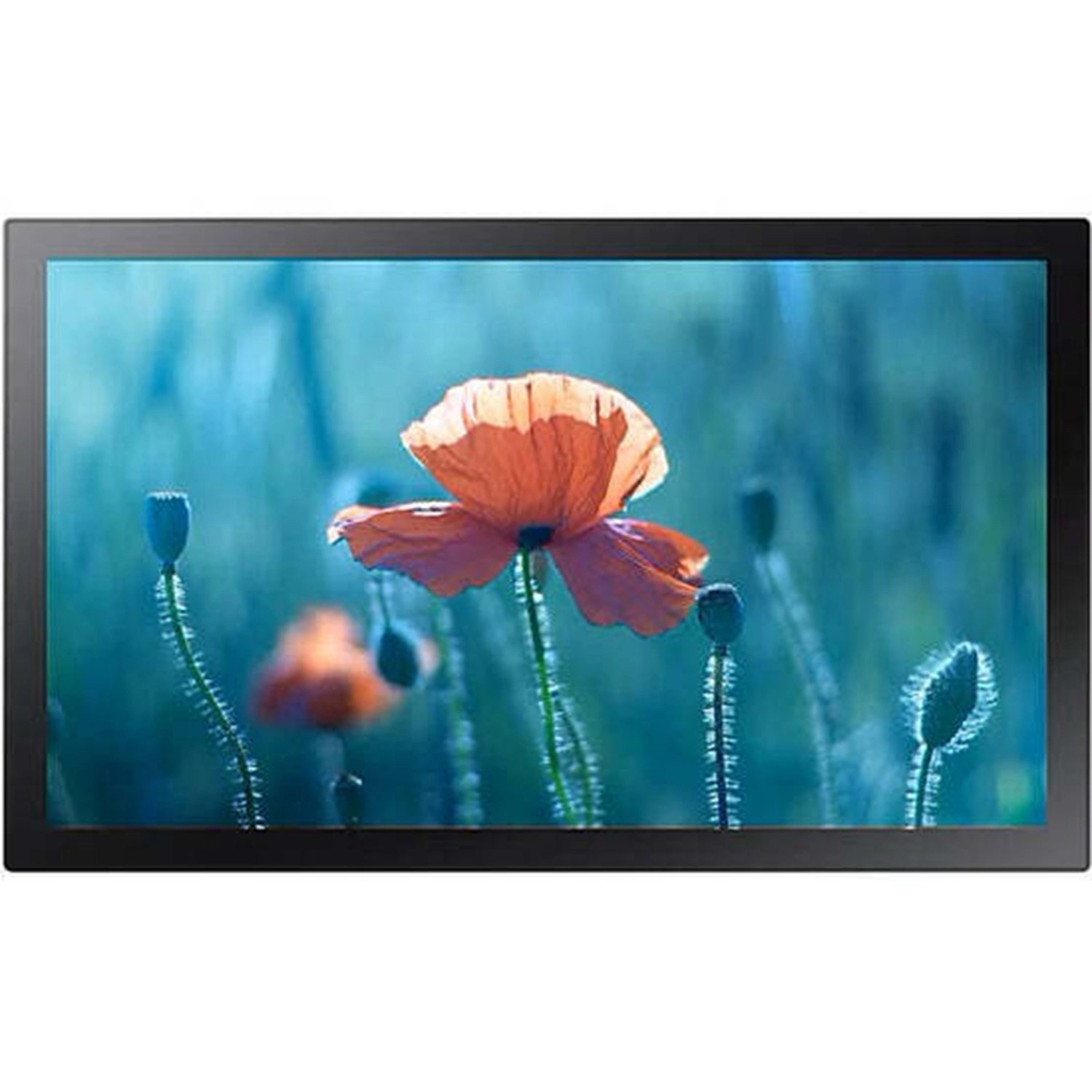 Samsung QBR-T Series - LH13QBRTMGCXUE 13inch FHD (1920 x 1080)