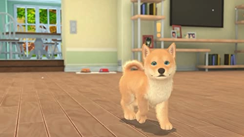 My Universe [Pets Edition] | Nintendo Switch