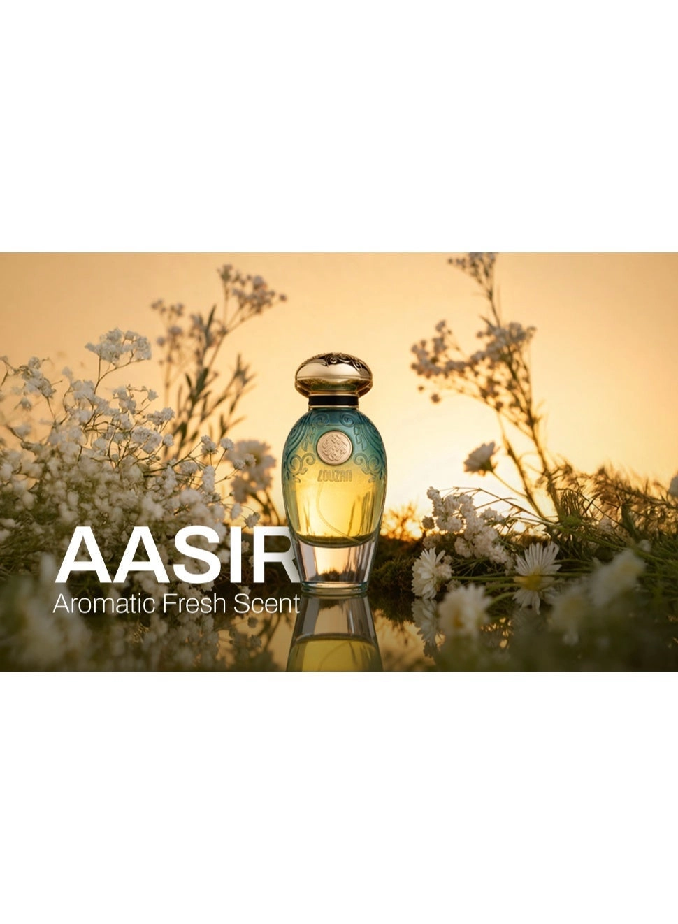 Aasir Perfume Eau de Parfum - 100 ml
