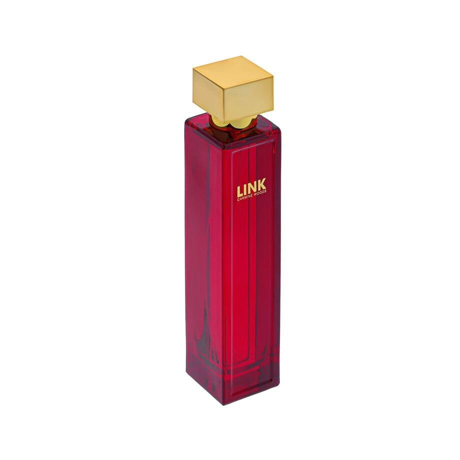 Link Carmen Eau de Parfum 100ml