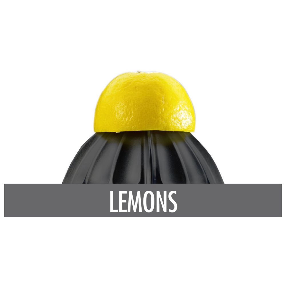 Home Culture Citrus Juicer - Automatic start-up 2 reaming cones