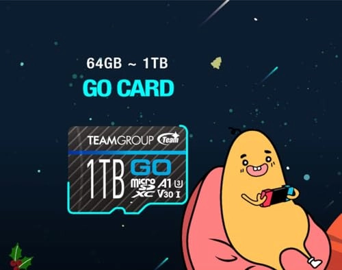GO Card - 256GB Pack