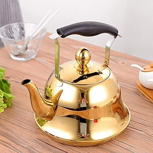 Stovetop Induction Whistling Kettle - 5L