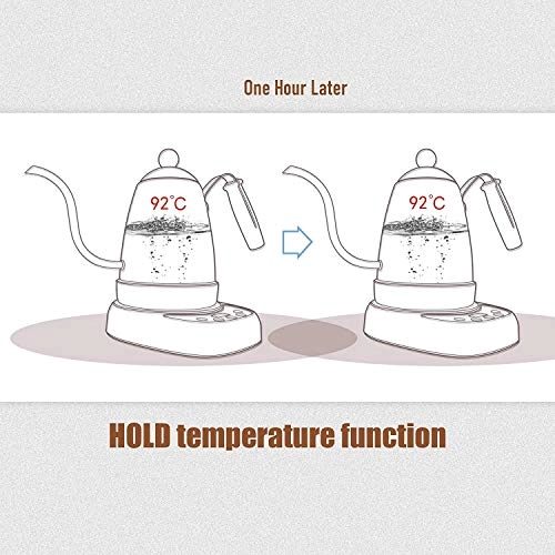 Variable Temperature Electric Gooseneck Kettle