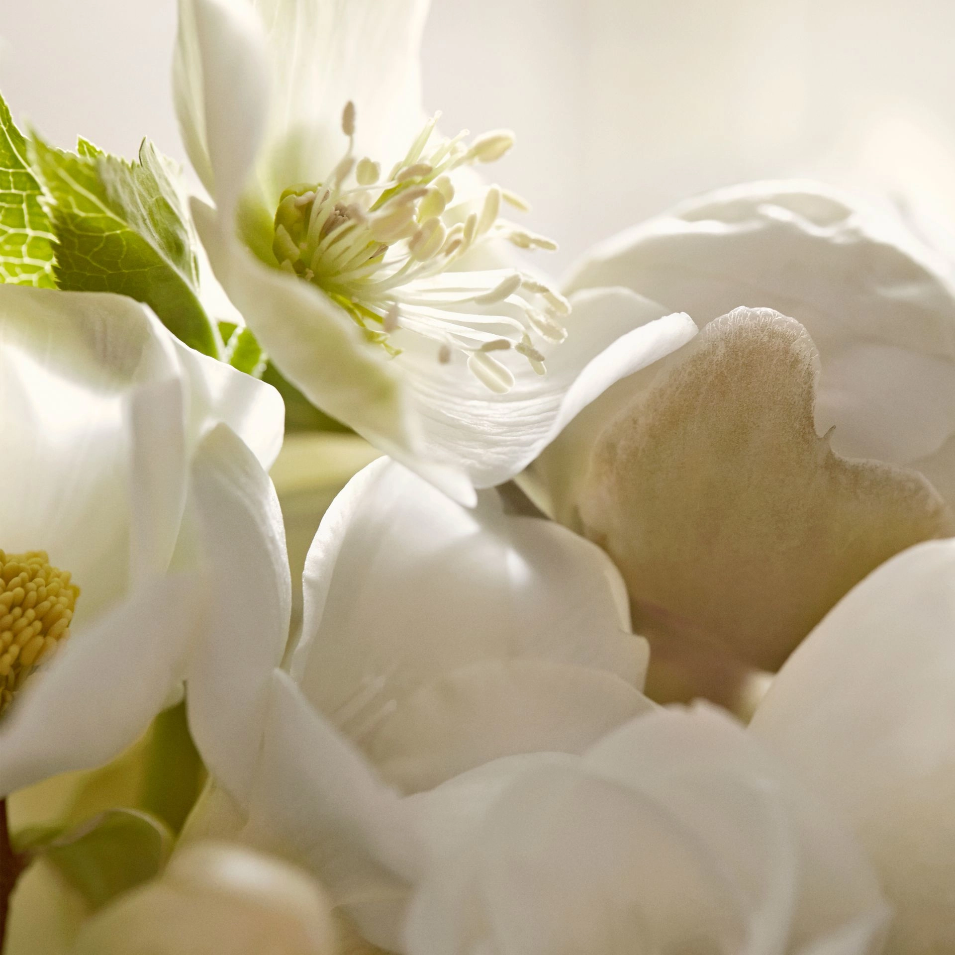 Eau De Toilette - 30 ml