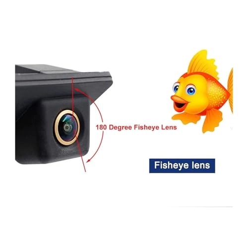 Rear View Camera - Night Vision