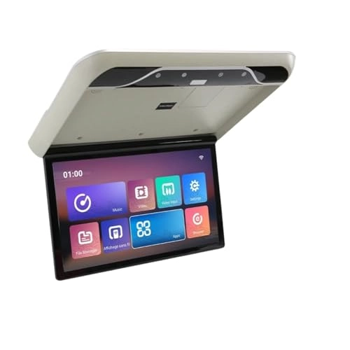 Roofmount LCD Monitor - 19in