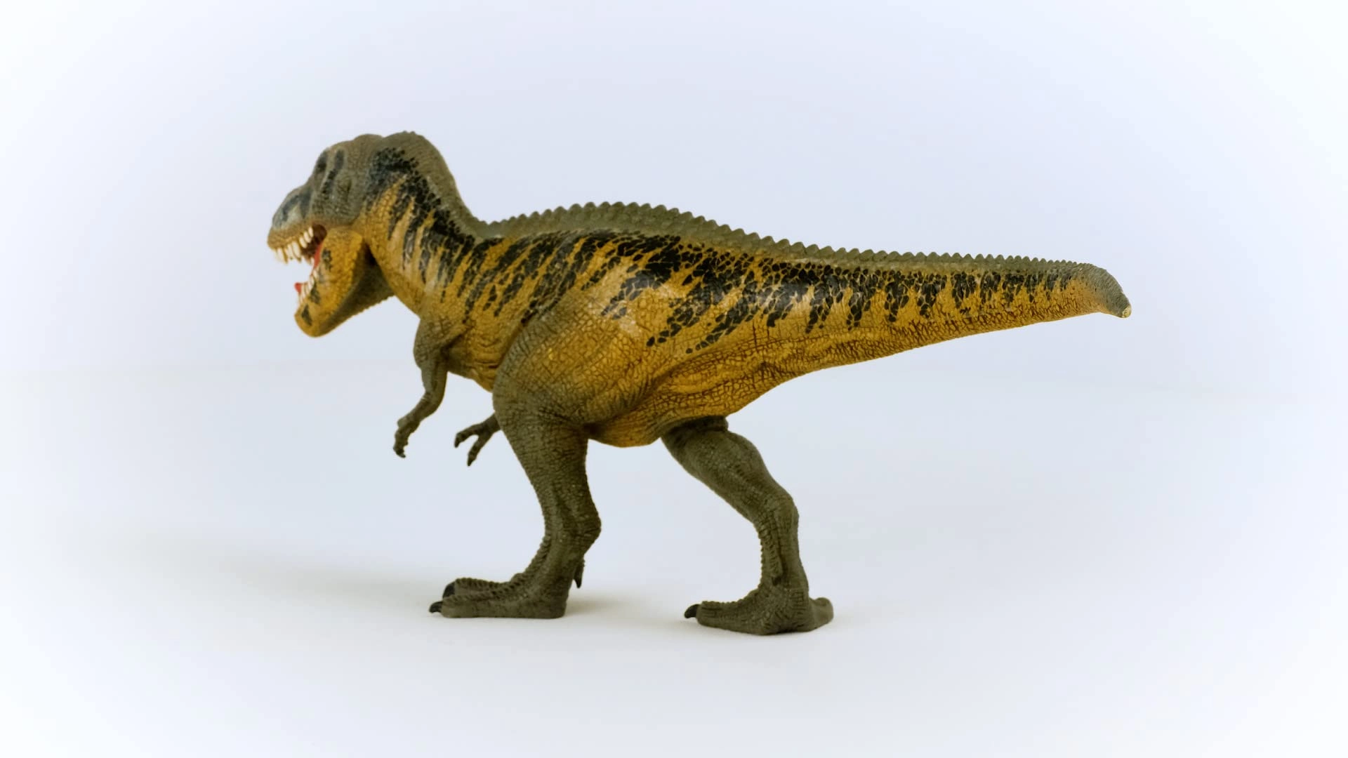 Tarbosaurus - 4+ Dinosaurs 1
