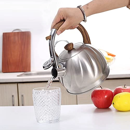 Stovetop Tea Kettle - Stainless Steel+nylon handle 2 Liters
