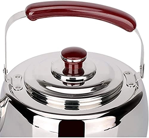 Stovetop Induction Whistling Kettle - 5L