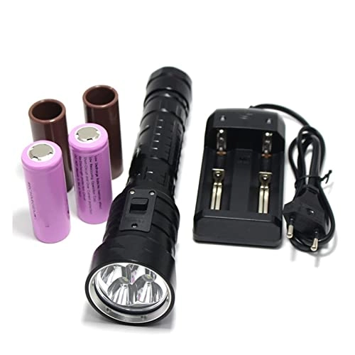 Professional Submersible Light