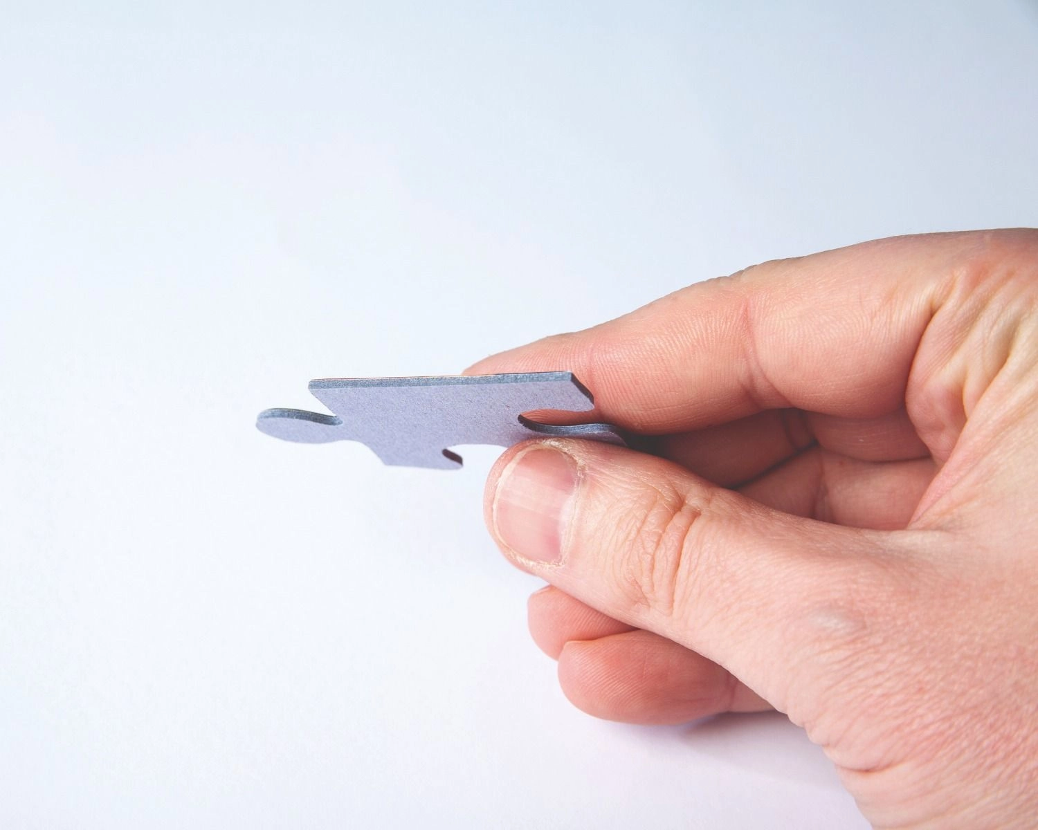 Fuji Garden Puzzle (ALGT-39910) - 1000 pcs