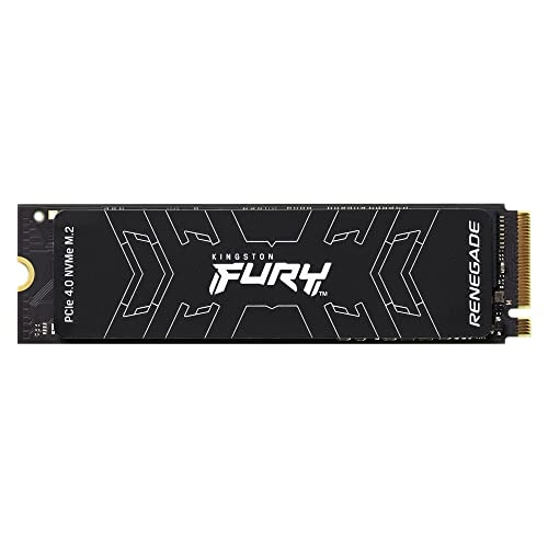 FURY RENEGADE - 4000 GB M 2 2280 Inches