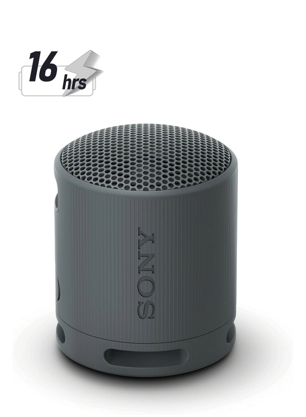 Sony XB100 SRSXB100/D