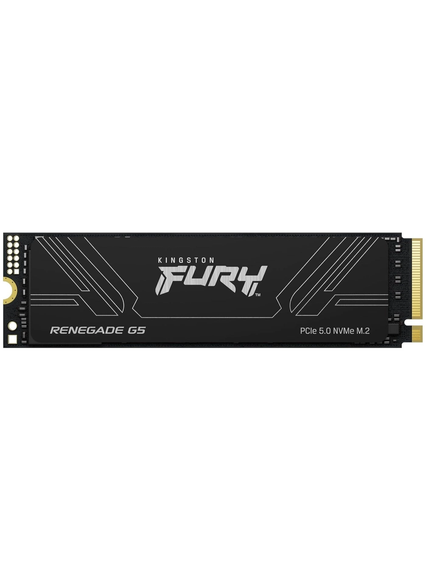 Fury Renegade G5 - 1 TB M.2