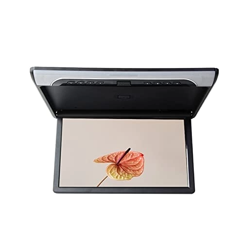 Car Ceiling Display - 19 Inch