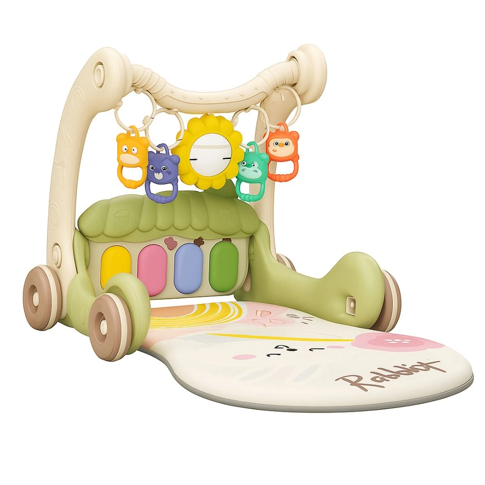 Daisy - 3-In-1 Baby Walker
