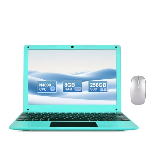N4000 - 10.1'' 6X86 8GB DDR4 256GB SSD